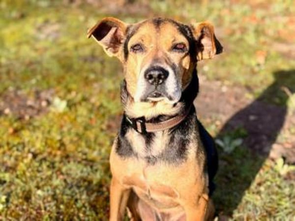 Nehmen Sie Butz bei sich auf?