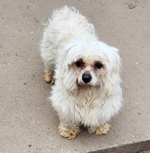 Ildiko° in 65195 Wiesbaden