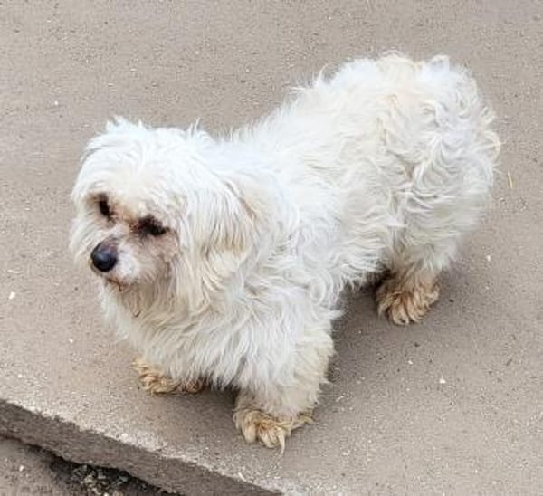 Ildiko° in 65195 Wiesbaden