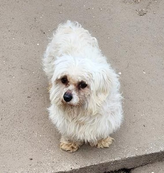 Ildiko° in 65195 Wiesbaden