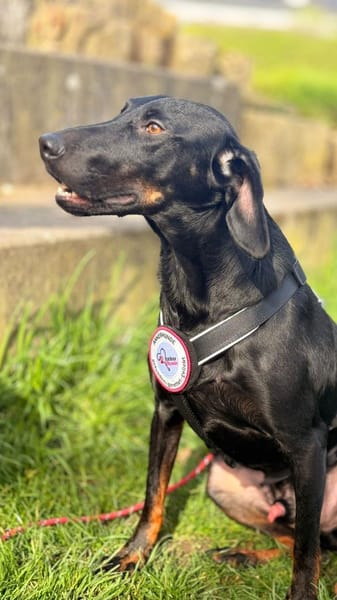 💙Cormac💙 such sein Zuhause