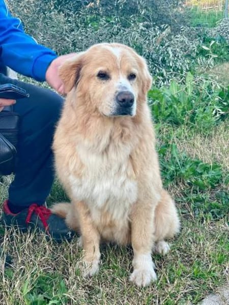 Sasha 💚💚💚 ruhig und ausgeglichen