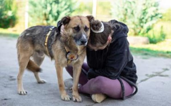 Halvar sucht eine ruhiges Zuhause