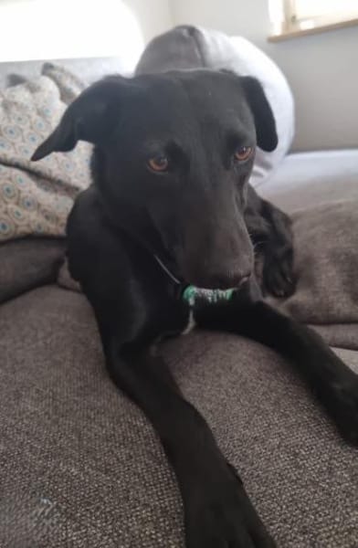 Darf ich vorstellen Prinzessin Ebony...