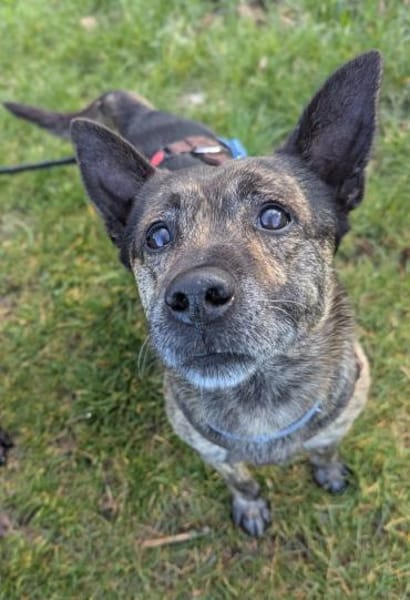 Sonnenschein Cuba sucht seine Menschen