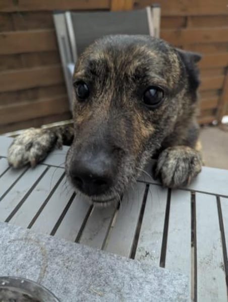 Sonnenschein Cuba sucht seine Menschen