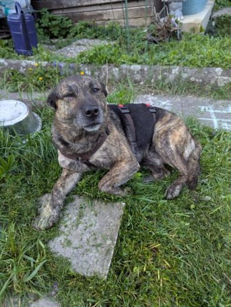 Sonnenschein Cuba sucht seine Menschen