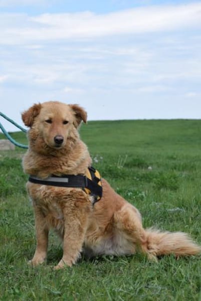 Lena, rauhe Schale- weicher Kern