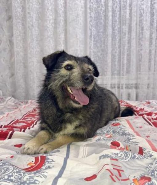 Lernen Sie Kira kennen!