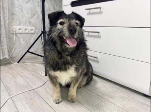 Lernen Sie Kira kennen!