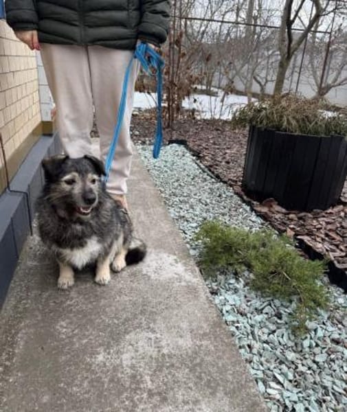 Lernen Sie Kira kennen!