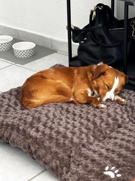 Chilli ist ein charmanter Gentleman