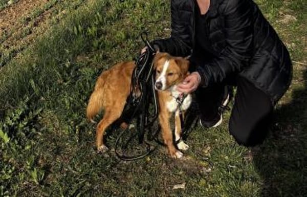 Chilli ist ein charmanter Gentleman