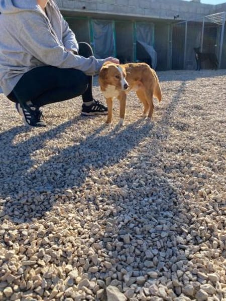 Chilli ist ein charmanter Gentleman