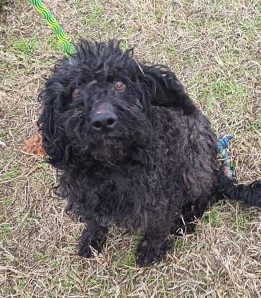 Ali möchte eine Chance