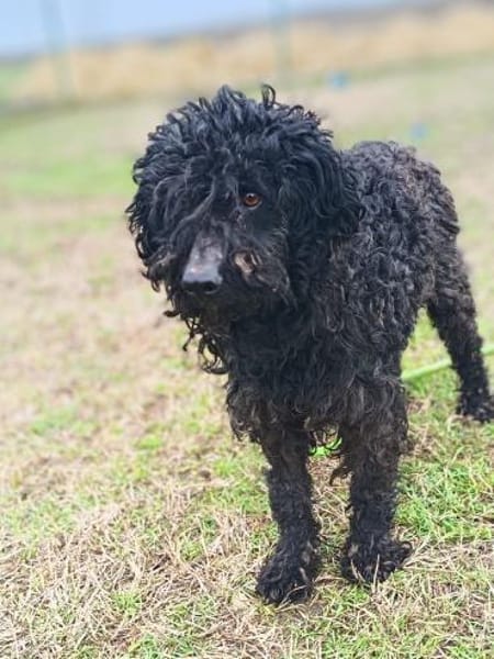 Ali möchte eine Chance