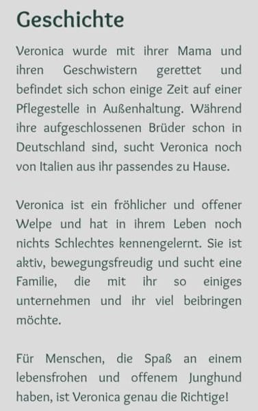 hübsche Veronica