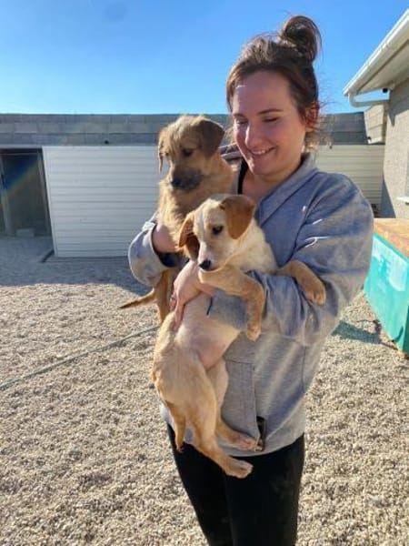 Ivy sucht ihr Glück