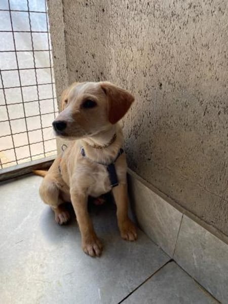 Ivy sucht ihr Glück