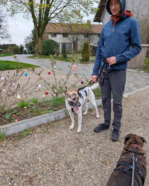 verspielte, liebe Stescha bei München!