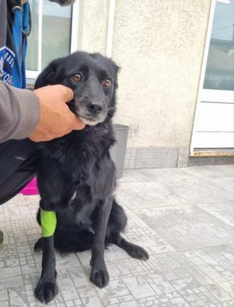 Maja - ruhige und sanfte Seele