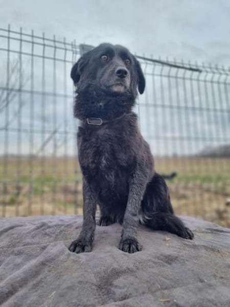 Maja - ruhige und sanfte Seele