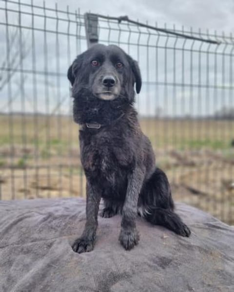 Maja - ruhige und sanfte Seele