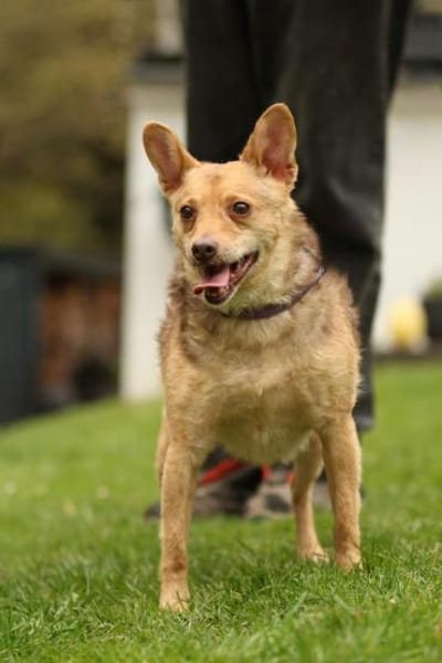 Roya sucht ihre liebe Familie....