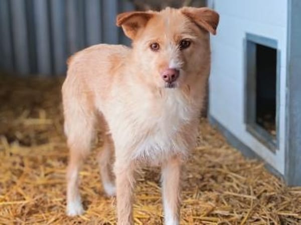 💔 Julia  sie wollte leben. 💔