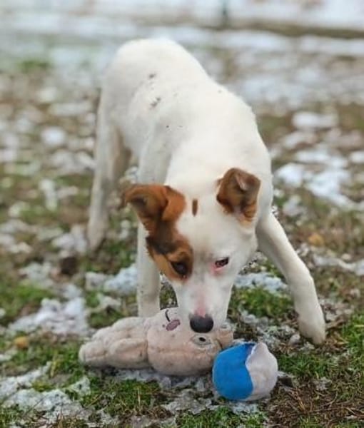 ❤ Alexa  eine junge Seele