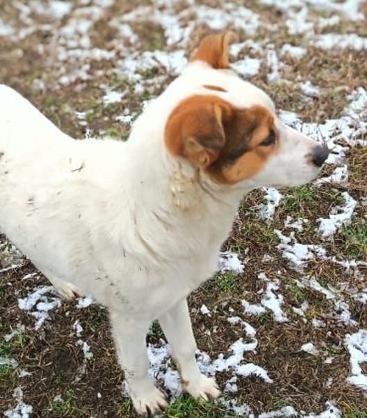 ❤ Alexa  eine junge Seele