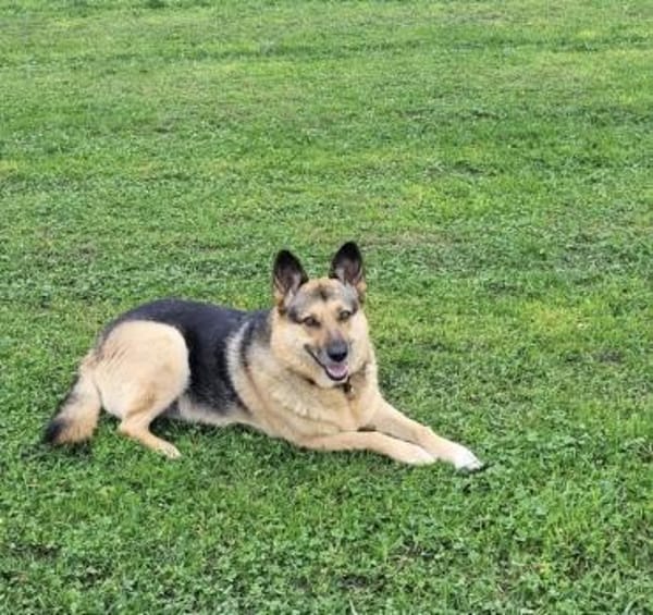 Lena sucht ihre Familie