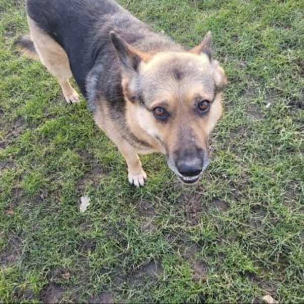 Lena sucht ihre Familie