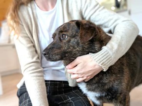 kleine Schmusemaus Tina bei München!