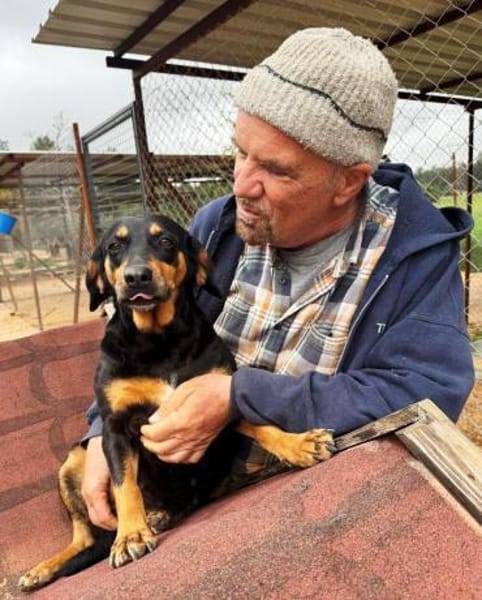 Nancy kleines zauberhafte Hundemädchen