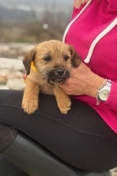 Pepper sucht ihr Glück