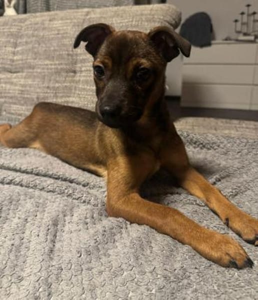 Mia - klein und liebevoll🍀