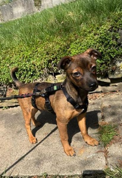 Mia - klein und liebevoll🍀