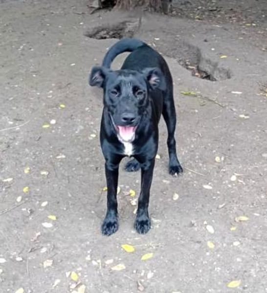 Kate sucht ihre Familie für immer