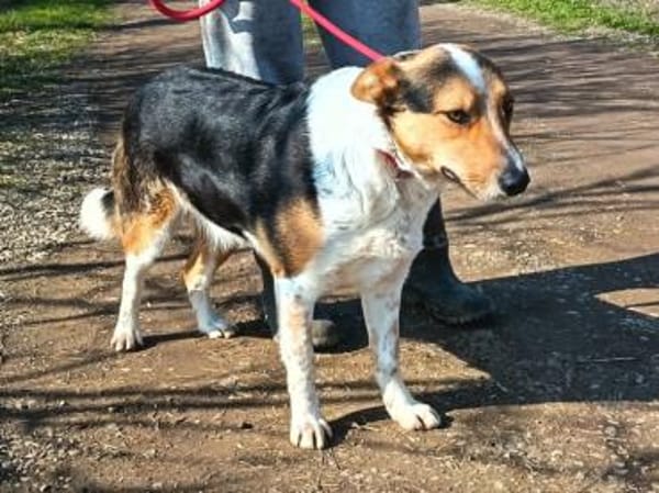 Monty zeigt ihm das Menschen gut sind