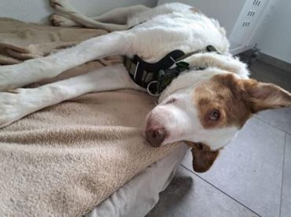 HELEN, lieb und sanft