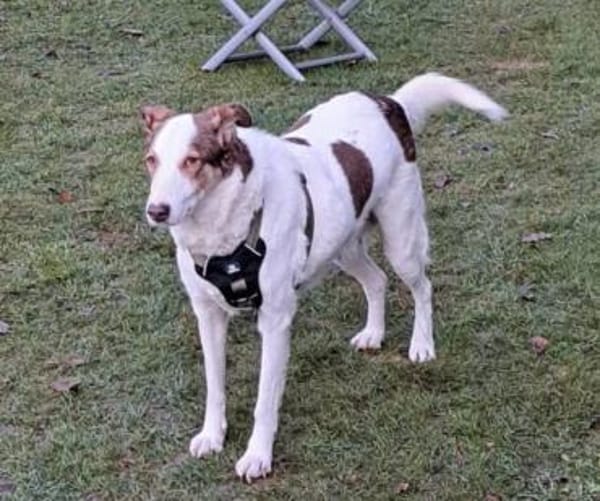 HELEN, lieb und sanft