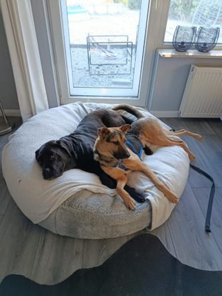 MINK * agiler Typ mit Charakter