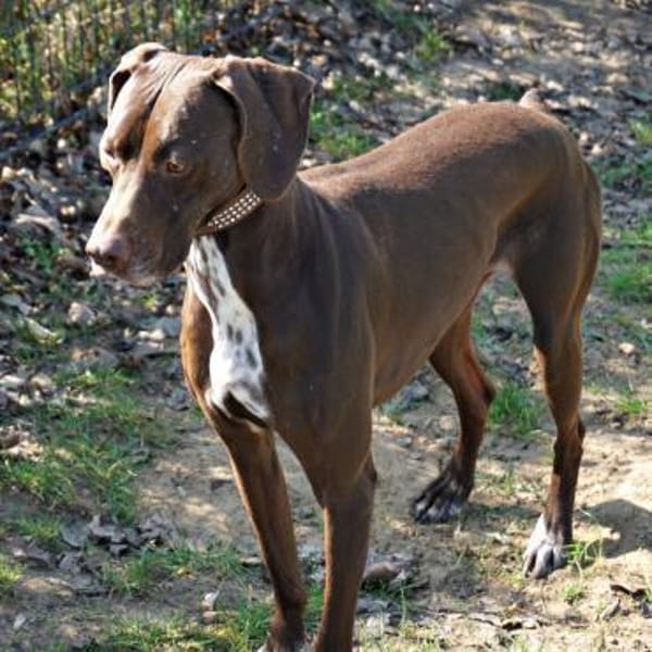 Asia, lernwillig, freundlich, offen