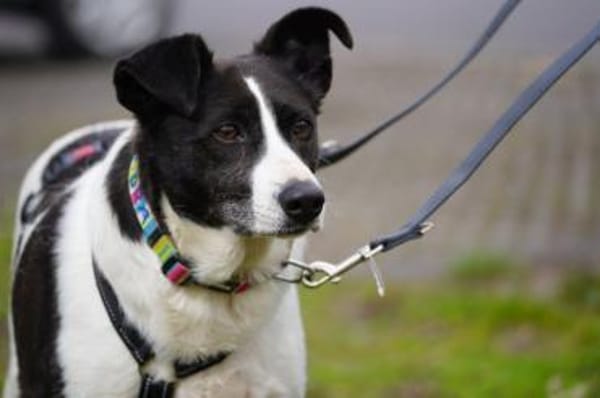 Alejandra sucht ihre Menschen