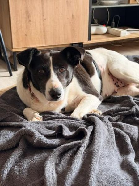 Alejandra sucht ihre Menschen