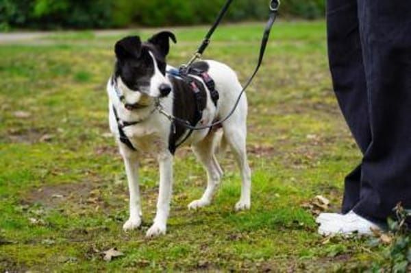Alejandra sucht ihre Menschen