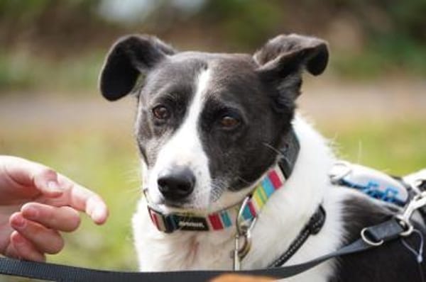 Alejandra sucht ihre Menschen