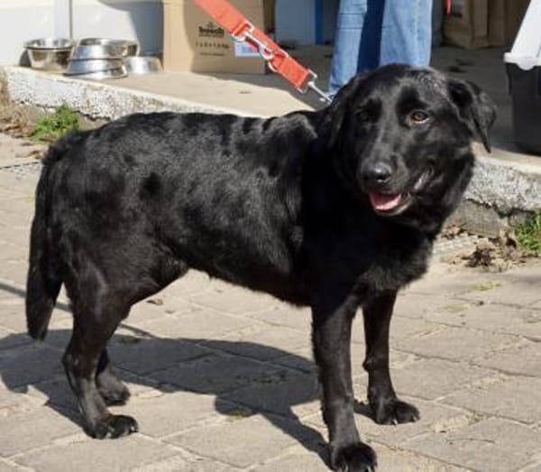 Liliana, sanft, freundlich, kinderlieb