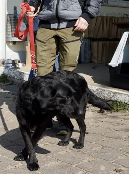 Liliana, sanft, freundlich, kinderlieb